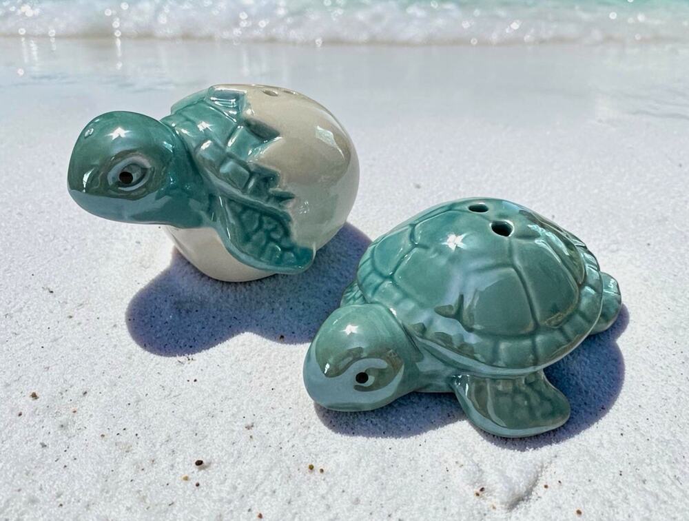 Blue Green & White Ceramic Turtle Salt And Pepper Shakers Set Of 2 Novelty